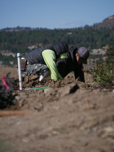 irrigation-denver-13