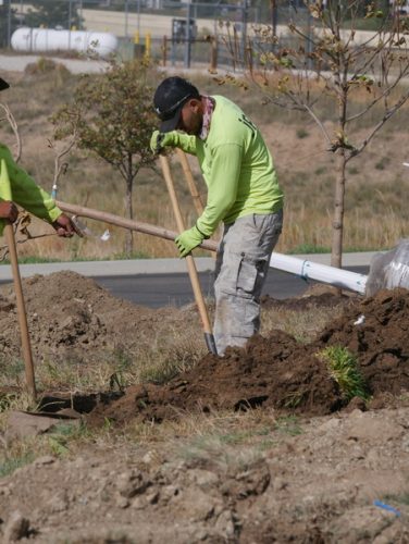 landscape-enhancement-13