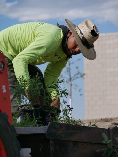 landscape-enhancement-17