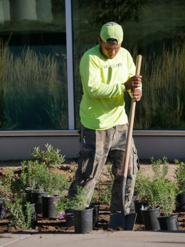 landscape-enhancement-18